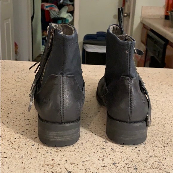 Cat - Picture 4 of 7